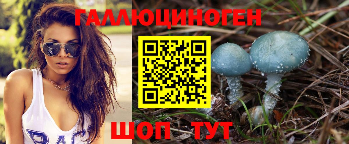 магазин    Вход с VPN  Усть-Джегута  Псилоцибиновые грибы мухоморы 